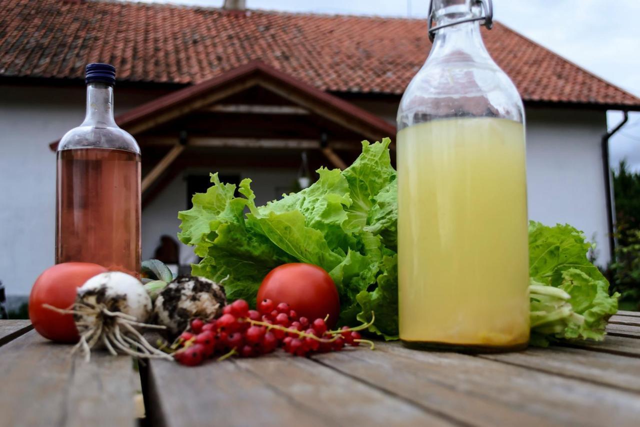 Zakatek Szczescia Eko Agroturystyka Kiwity Exterior foto