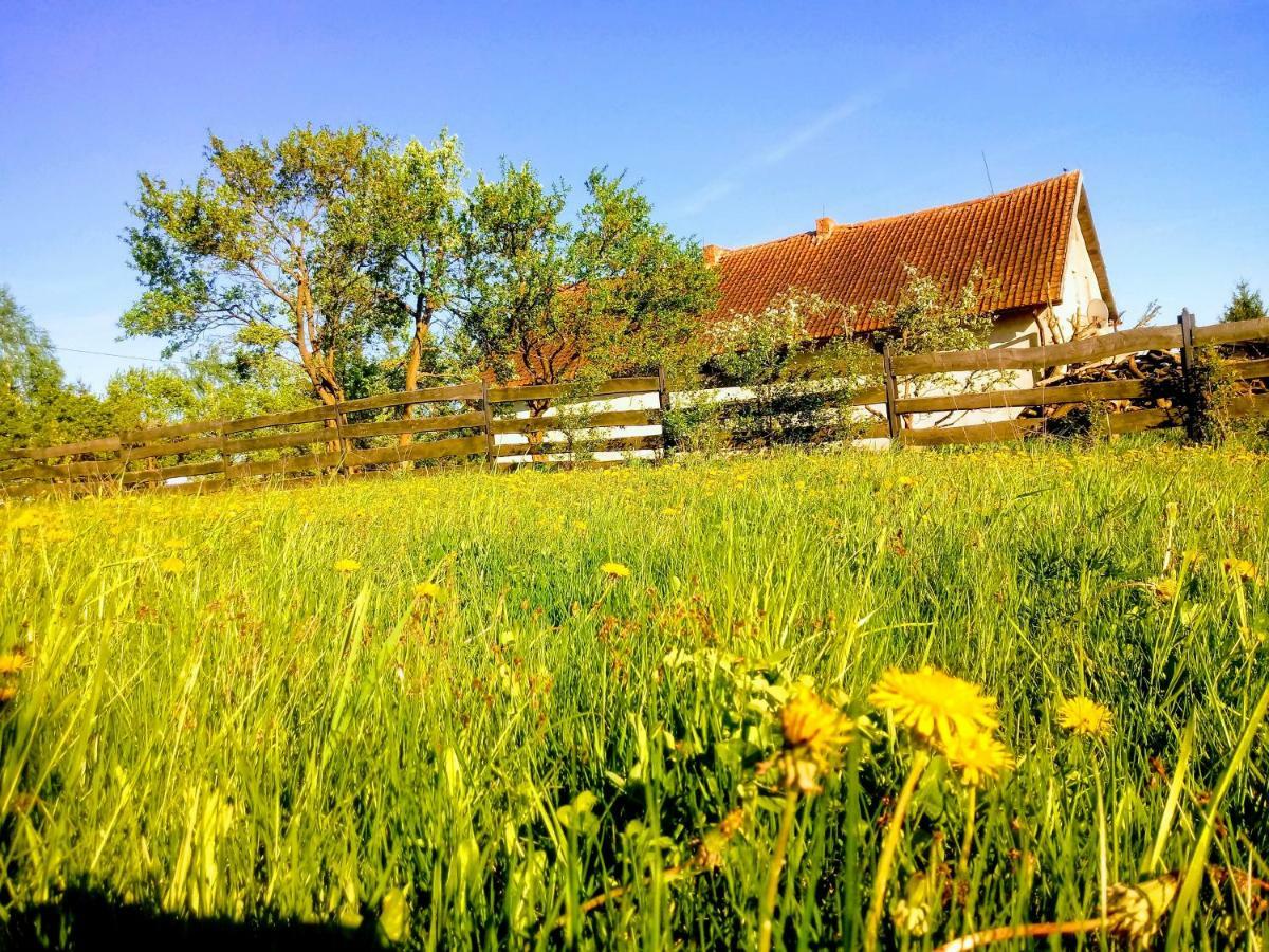 Zakatek Szczescia Eko Agroturystyka Kiwity Exterior foto